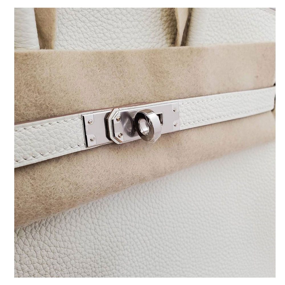 Hermes Birkin 25 Togo Mushroom