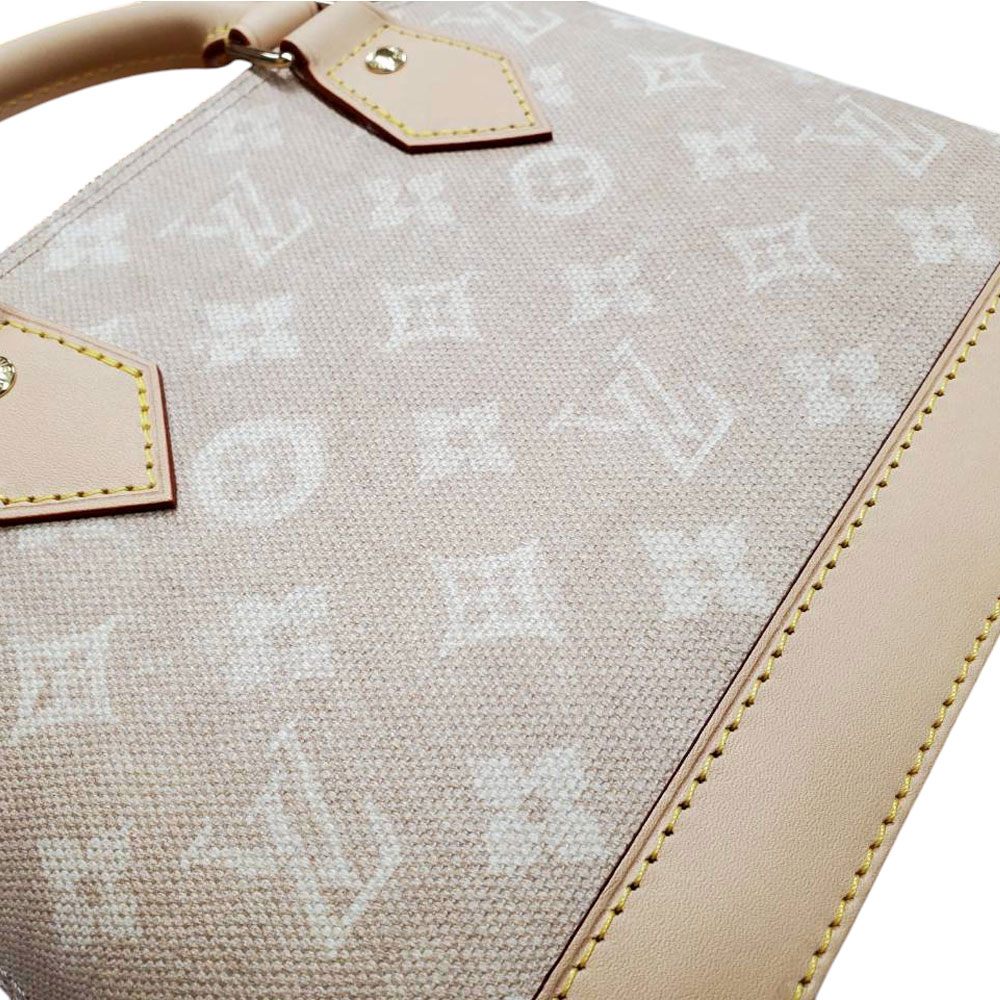 ルイヴィトン LOUIS VUITTON  ミャオグラム・キャンパス  アルマBB  M25728