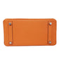 エルメス  HERMES バーキン25 フー トゴ  SV金具  W刻印/AT260711