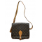 ルイヴィトン LOUIS VUITTON カルトシエール 斜め掛け ショルダーバッグ モノグラム M51253